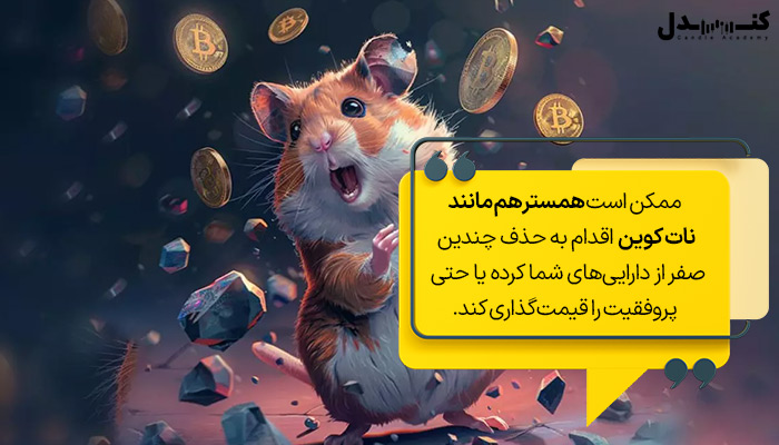 قیمت بازی همستر کامبت