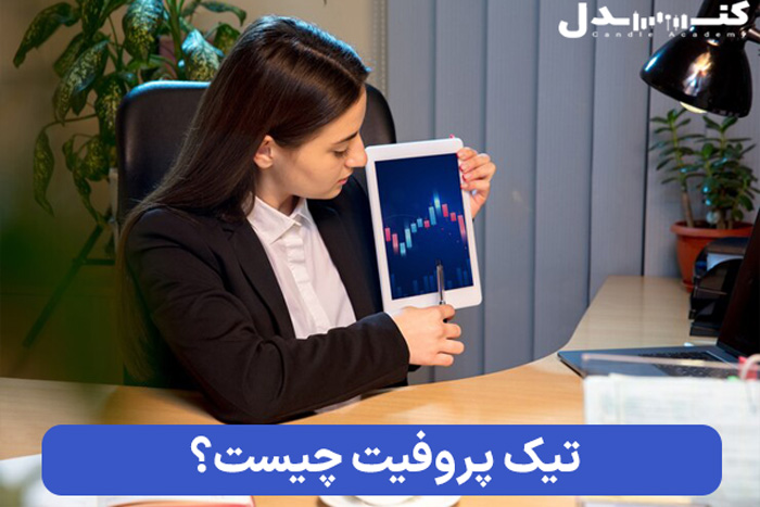 تیک پروفیت چیست و چه کاربردی دارد؟